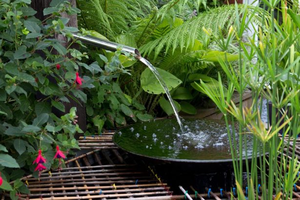 Nine Best Garden Water Feature Ideas | BBC Gardeners World Magazine