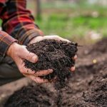 How to Make Compost the Easy Way — Homesteading Family