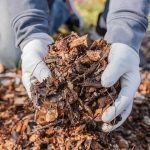 What is Mulching and its benefits