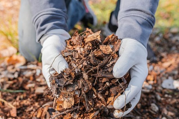 What is Mulching and its benefits