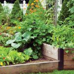 Top Plants for Companion Planting – Mother Earth News