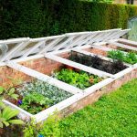 Garden Longer: How to Extend the Growing Season