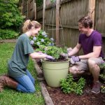 9 Common Mistakes of New Gardeners and How to Avoid Them – Bonnie Plants