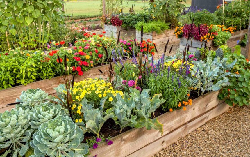 How to Plant a Raised Bed Garden That Avoids 8 Common Mistakes