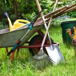 Information About Gardening Tools: Must Have Tools For Garden And Lawn Care  | Gardening Know How