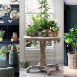 Decorating with plants: 11 ways to display house plants |