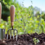 Soil For Growing Vegetables: Soil Preparation For Your Vegetable Garden |  Gardening Know How