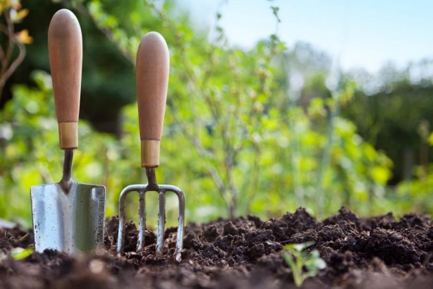 Soil For Growing Vegetables: Soil Preparation For Your Vegetable Garden |  Gardening Know How