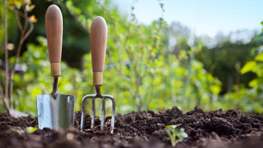 Soil For Growing Vegetables: Soil Preparation For Your Vegetable Garden |  Gardening Know How