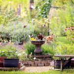 Creating a Wildlife Sanctuary in Your Yard