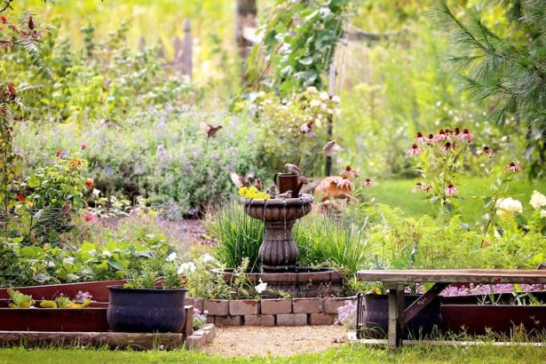 Creating a Wildlife Sanctuary in Your Yard