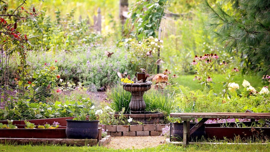 Creating a Wildlife Sanctuary in Your Yard