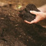 How to Improve Your Soil | 3 Easy Steps | joe gardener®