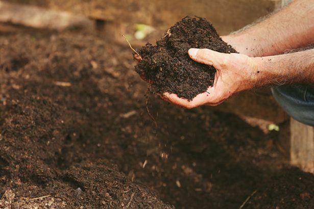 How to Improve Your Soil | 3 Easy Steps | joe gardener®