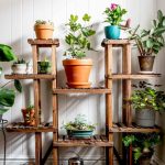 Indoor Gardening Systems: Endless Plant Possibilities