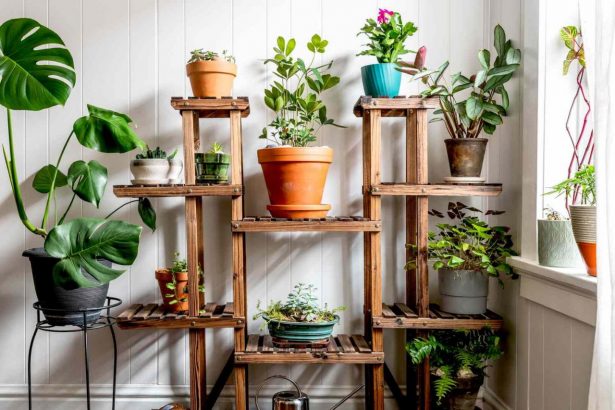 Indoor Gardening Systems: Endless Plant Possibilities