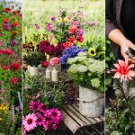 Planning a cut flower garden: top tips for beautiful blooms | Homes &  Gardens