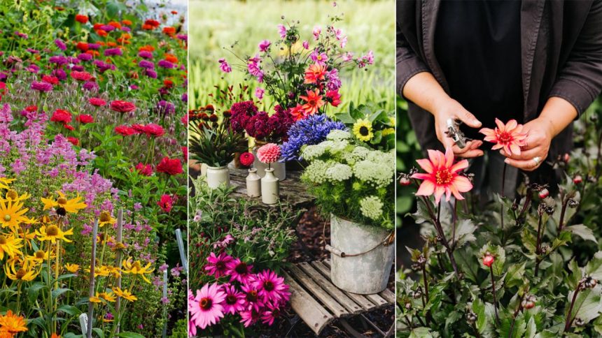 Planning a cut flower garden: top tips for beautiful blooms | Homes &  Gardens