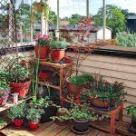 How to Create a Balcony Garden