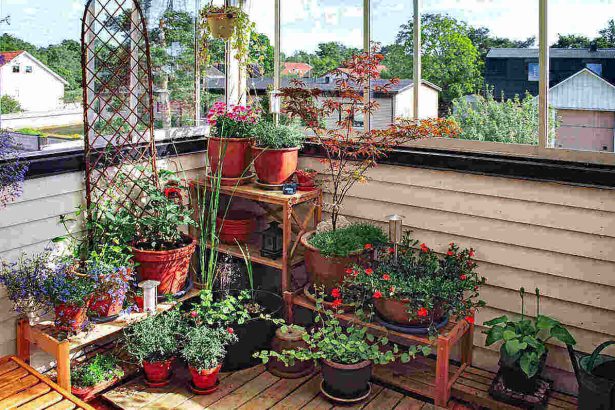 How to Create a Balcony Garden