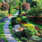 How to Use Color Theory in Landscape Design