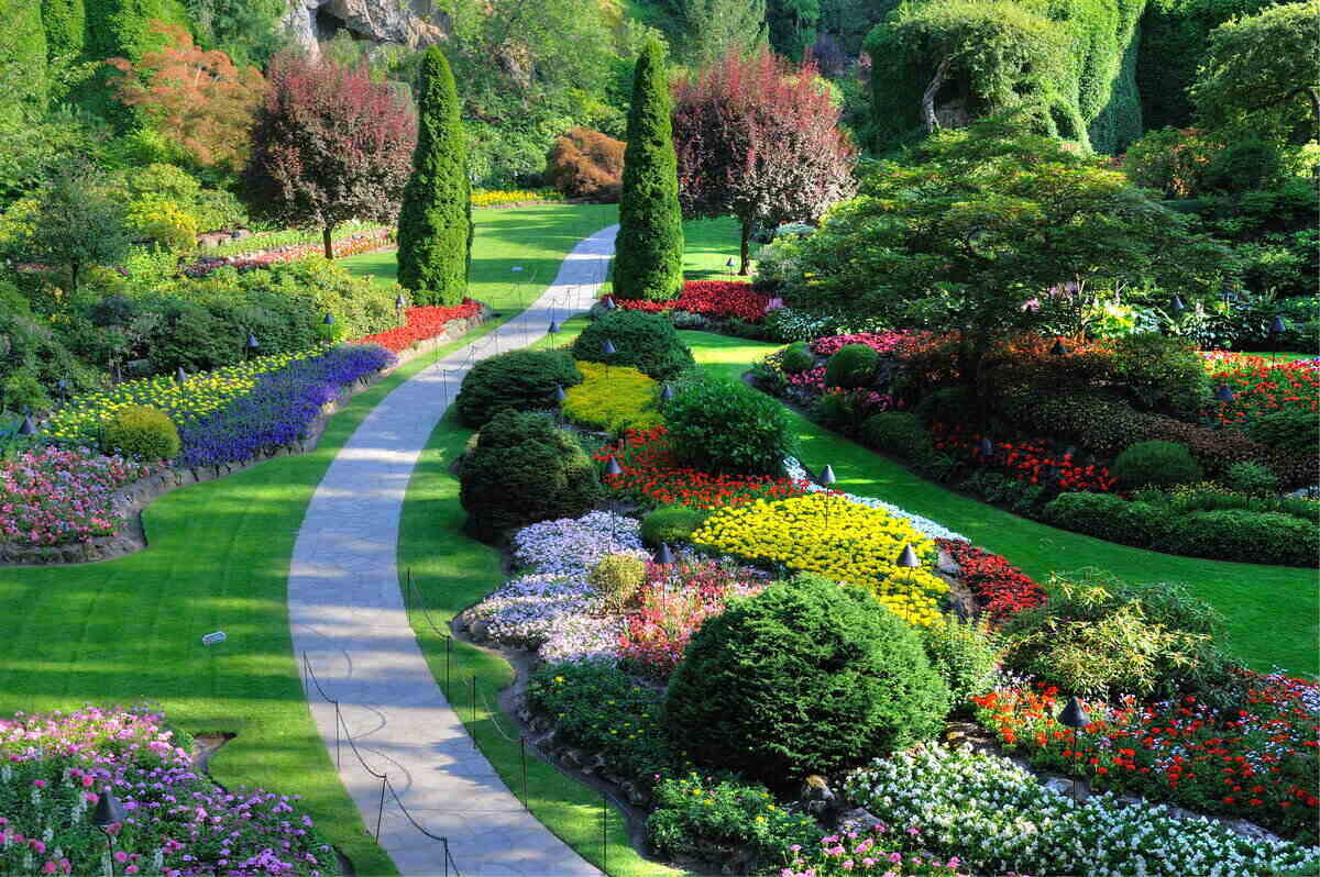 How to Use Color Theory in Landscape Design