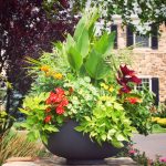 How to Create Beautiful Container Gardens - The Scout Guide