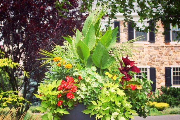 How to Create Beautiful Container Gardens - The Scout Guide