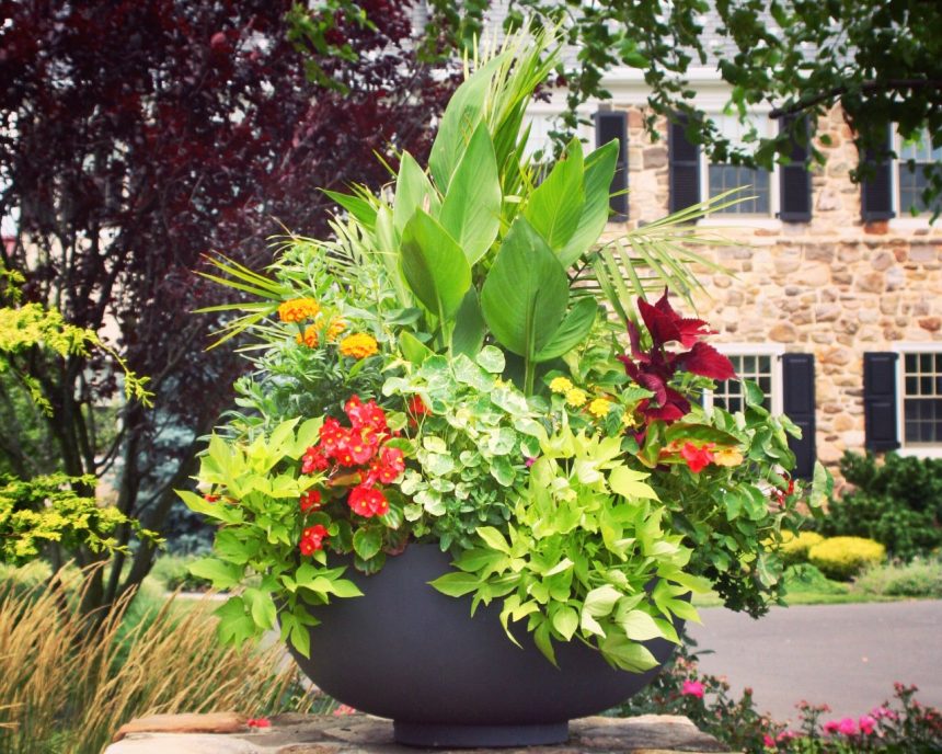 How to Create Beautiful Container Gardens - The Scout Guide