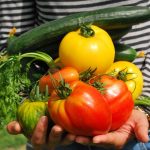 Veg for Beginners: A guide for your first year