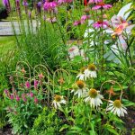 A Beginners Guide To Flower Gardening: How To Get Started, 46% OFF