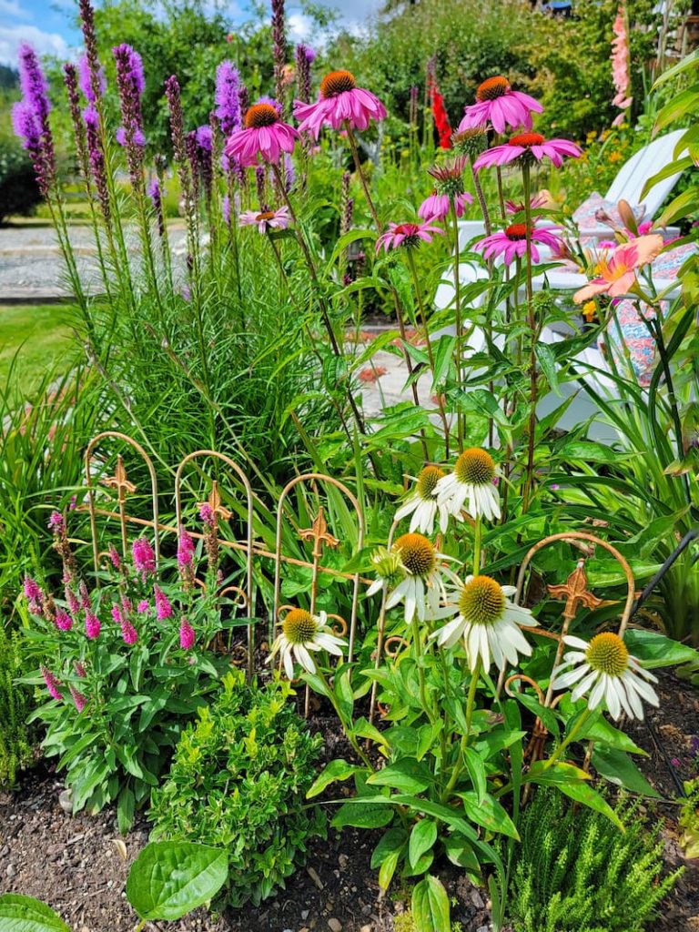 A Beginners Guide To Flower Gardening: How To Get Started, 46% OFF