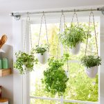 How to Grow Herbs Indoors Year-Round