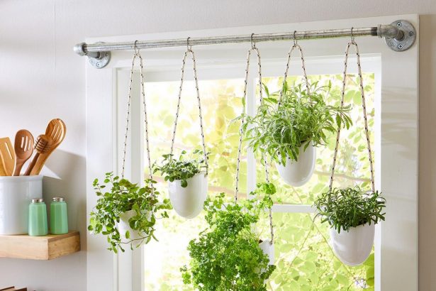 How to Grow Herbs Indoors Year-Round