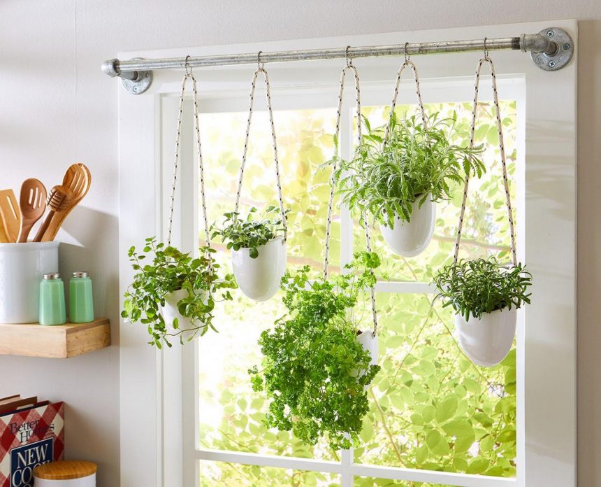 How to Grow Herbs Indoors Year-Round