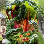 Small vegetable garden ideas: 15 ways to maximize your space |