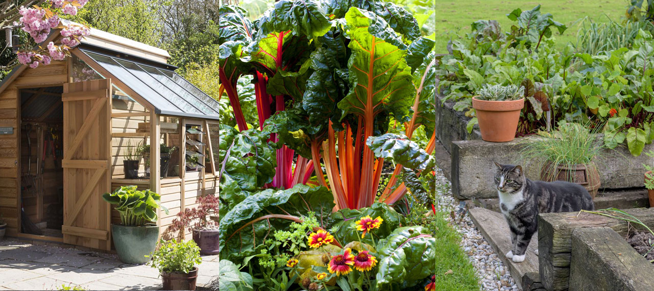 Small vegetable garden ideas: 15 ways to maximize your space |